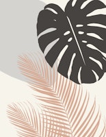 Monstera Palm Finesse 3 ταπετσαρία