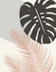Monstera Palm Finesse 3