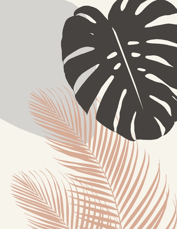 Monstera Palm Finesse 3