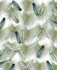 Calathea Fan Palm Leaves 2