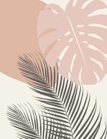 Monstera Palm Finesse 4 ταπετσαρία