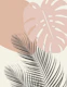 Monstera Palm Finesse 4