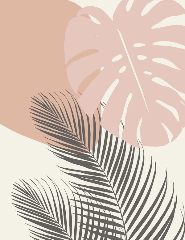 Monstera Palm Finesse 4