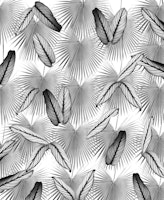 Calathea Fan Palm Leaves 3 wallpaper