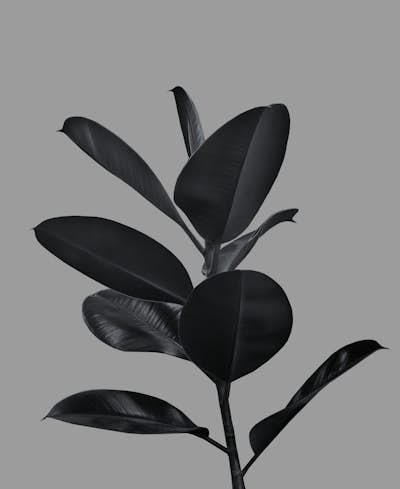 Τοιχογραφία