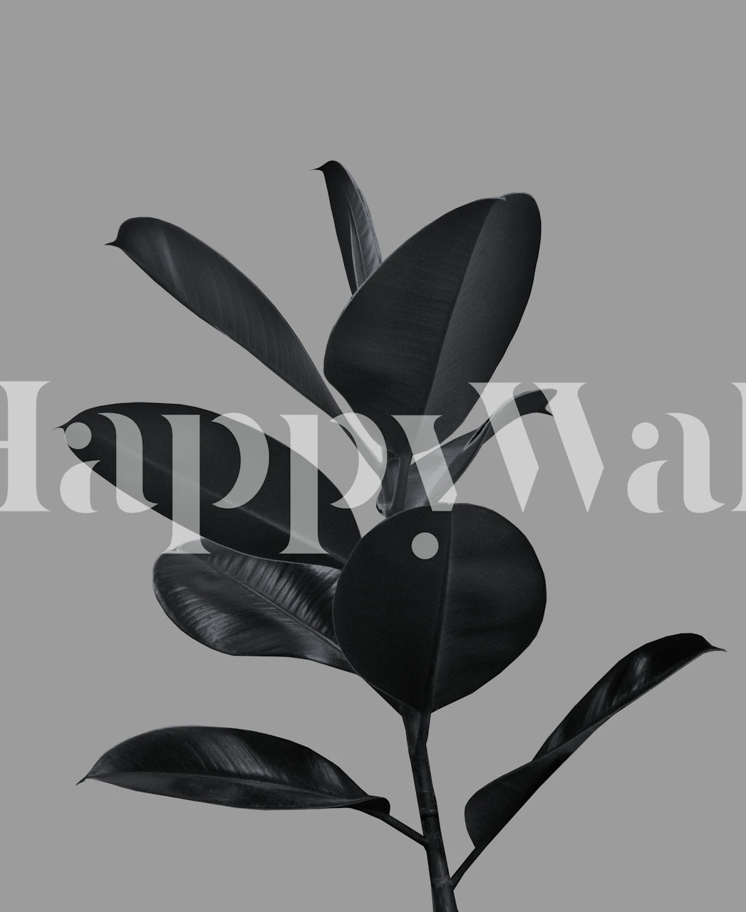 Monochromes Wandbild einer Ficus-Pflanze