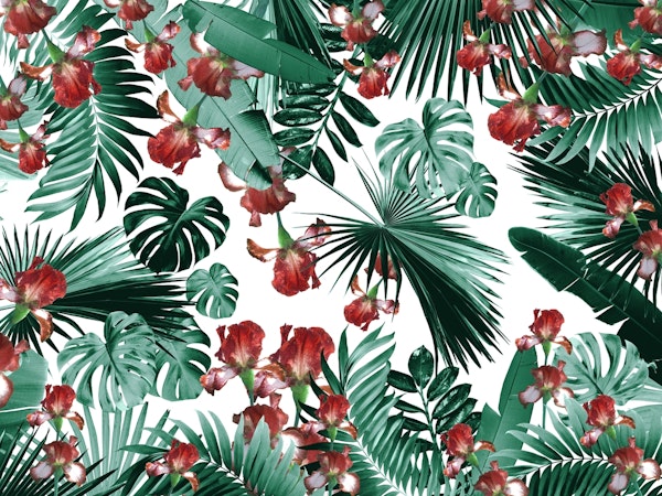 Jungle Leaves Flower Oasis 4