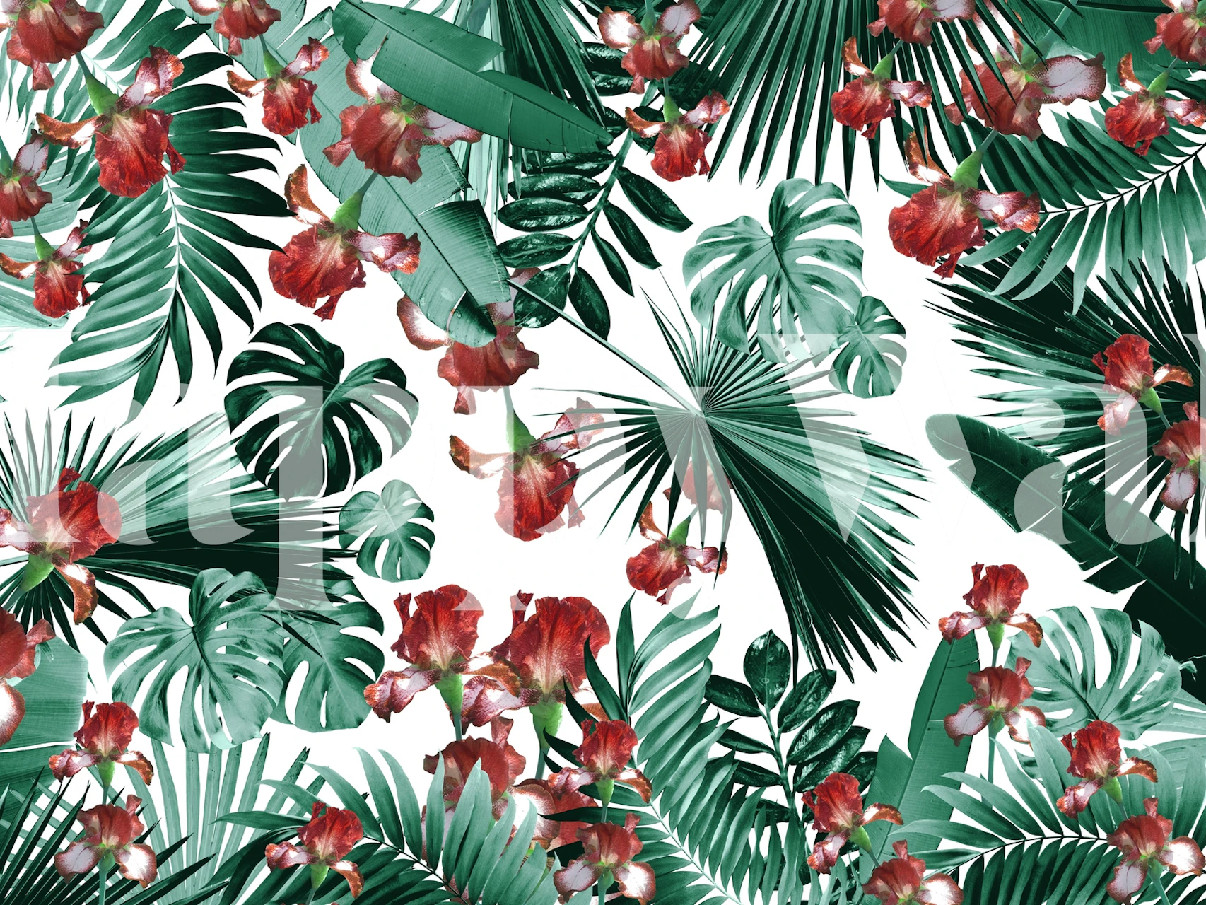 Tropical leaves and red flowers wallpaper on white background