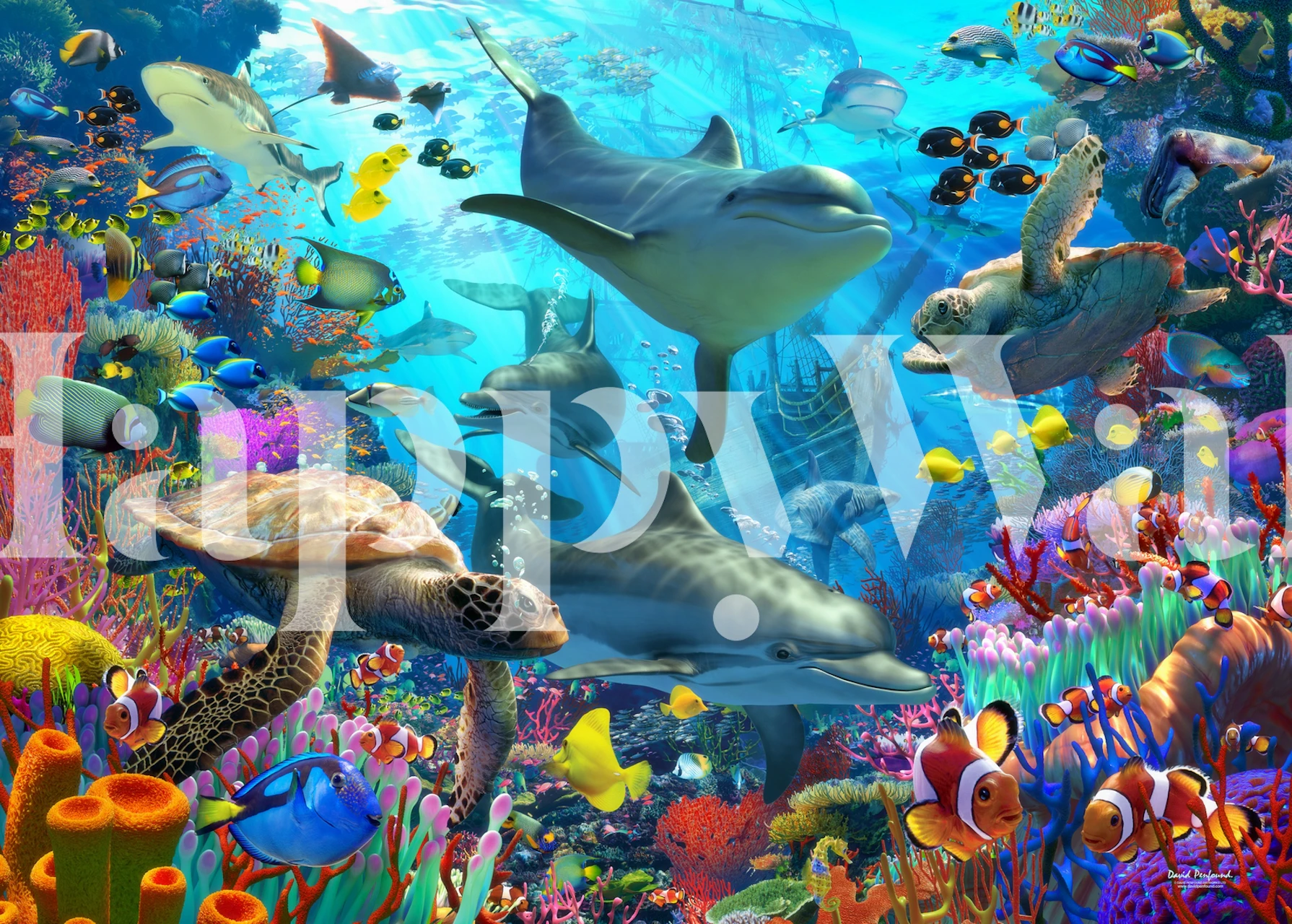 Dolphin Playground papier peint dans une pièce