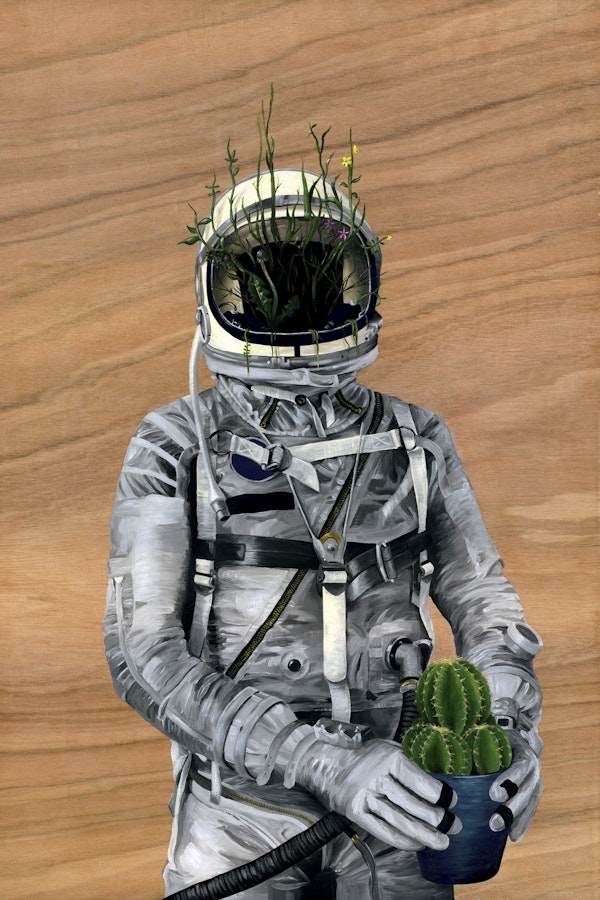 Spaceman Cacti