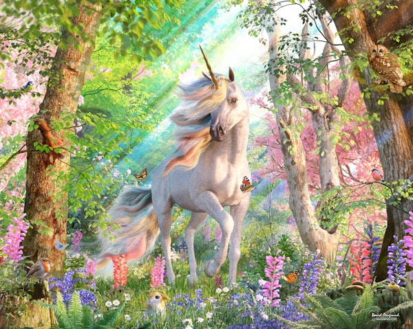 Unicorn Enchanted Forest