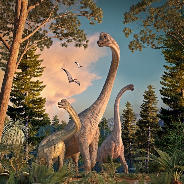 Brachiosaurus Walk