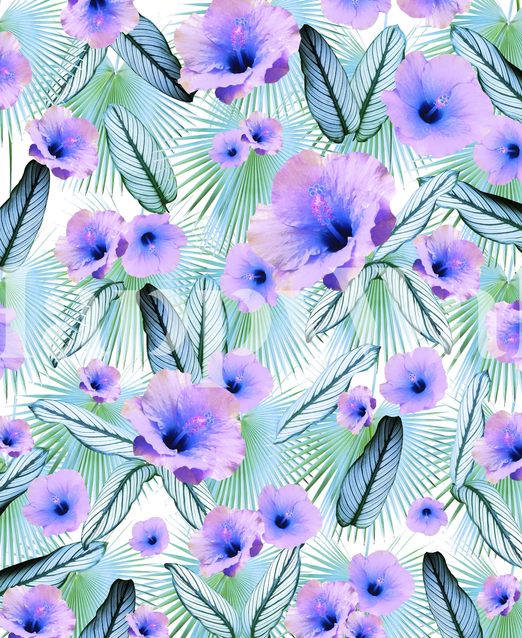 Hibiscus Calathea Palm tapet vist i et rum