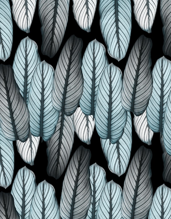 Calathea Leaves Pattern 1