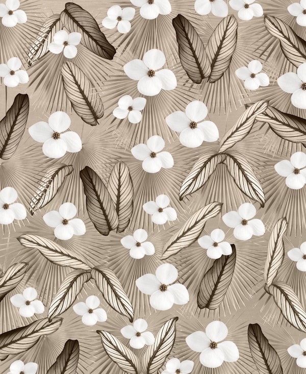 Calathea Fan Palm Floral 1