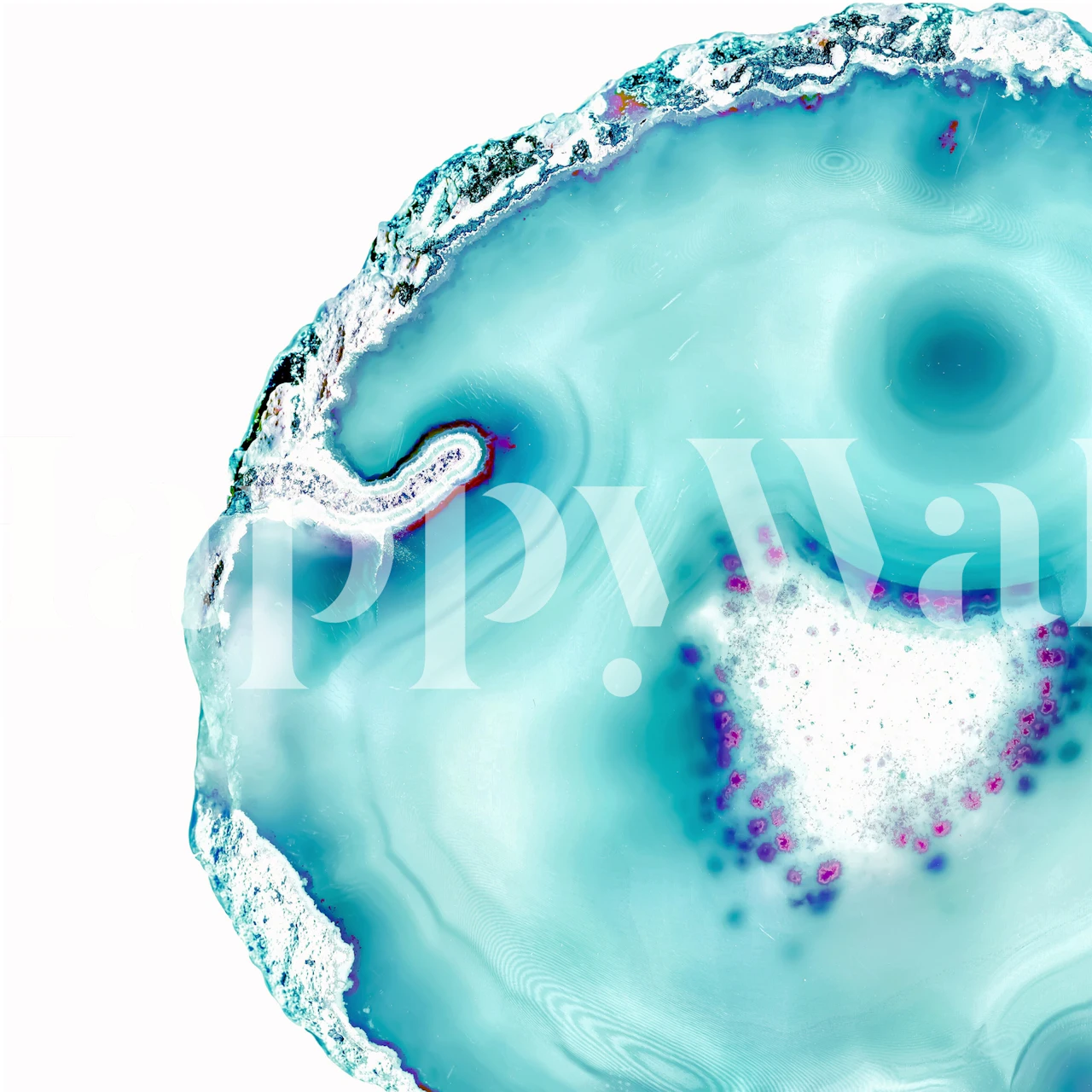 Agate marine wallpaper in a stylish room