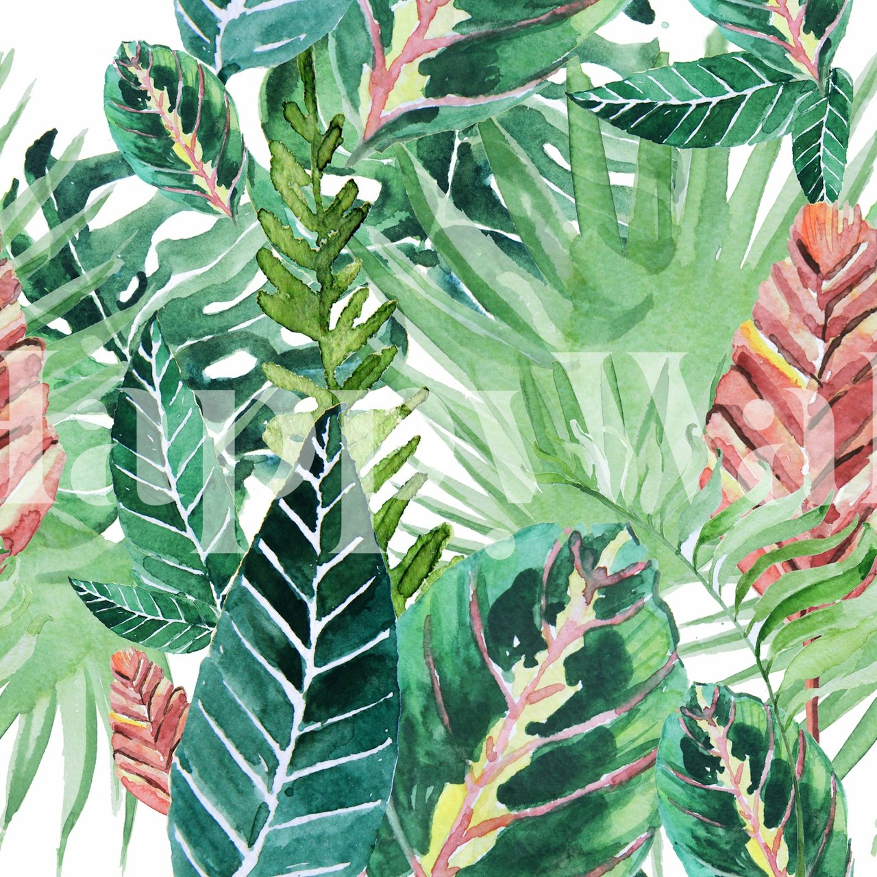 Havana jungle tapet i et rum