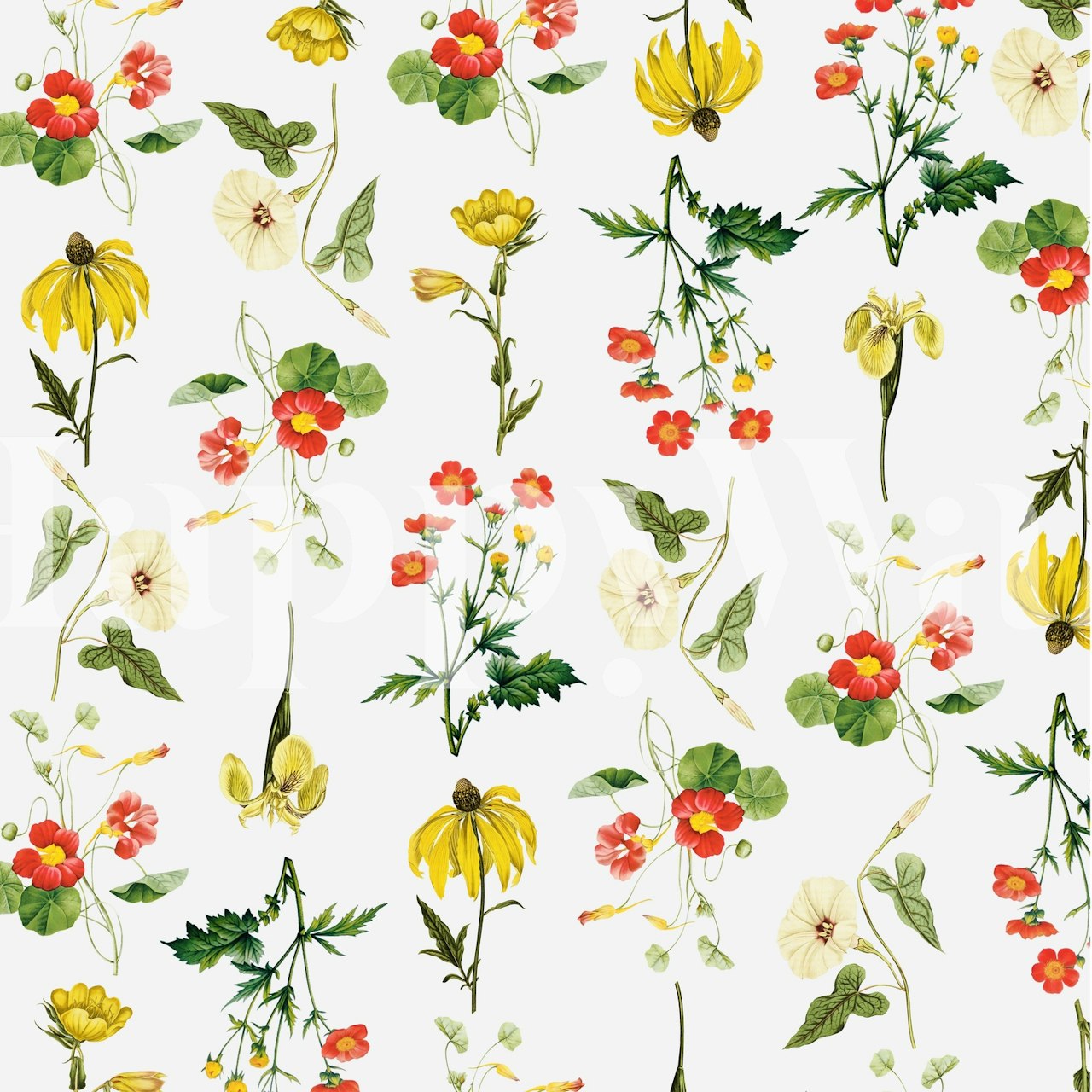 Colorful floral pattern with yellow and red flowers on white wallpaper