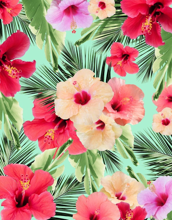 Tropical Hibiscus Dream 1