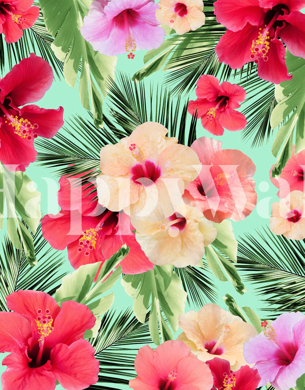 Hibiscus flowers in shades of red, pink, and yellow on green background wallpaper