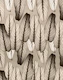 Calathea Leaves Pattern 2