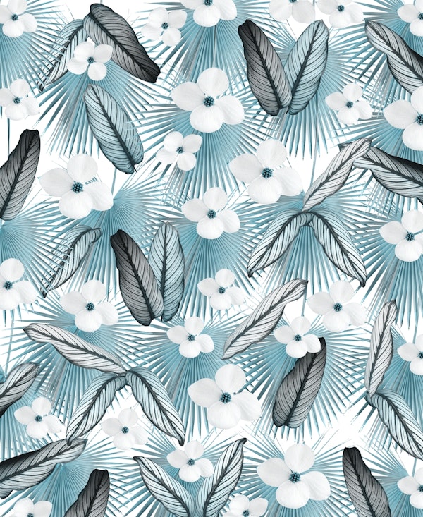 Calathea Fan Palm Floral 2