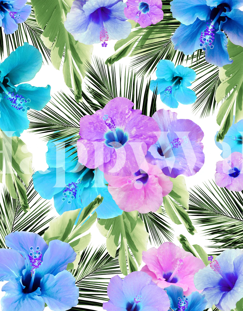 Eloisat siniset ja violetit hibiscus-kukat vihreillä trooppisilla lehdillä seinämaalauksella