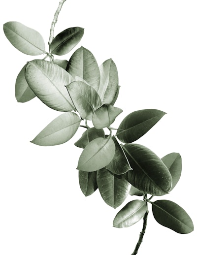 Mural