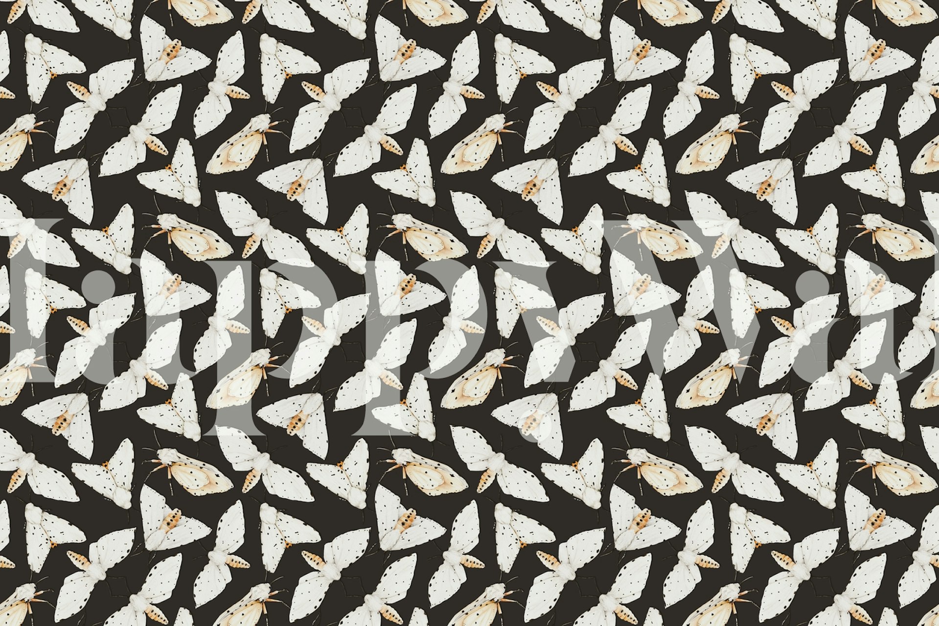 Papier peint élégant motif Black Moth