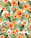 Hibiscus Calathea Fan Palm 3