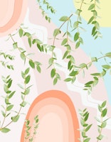 Eucalyptus Rainbow Dream 2 tapete