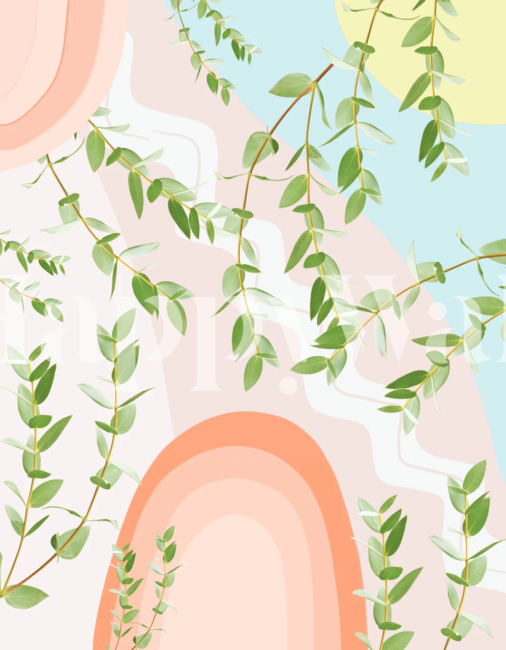 Eucalyptus leaves on soft pastel background wallpaper
