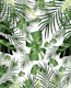 Tropical Jungle 12