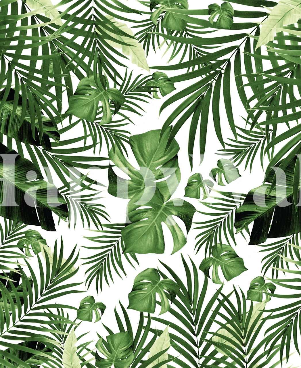 Tropical Jungle wall mural with green palm and monstera leaves