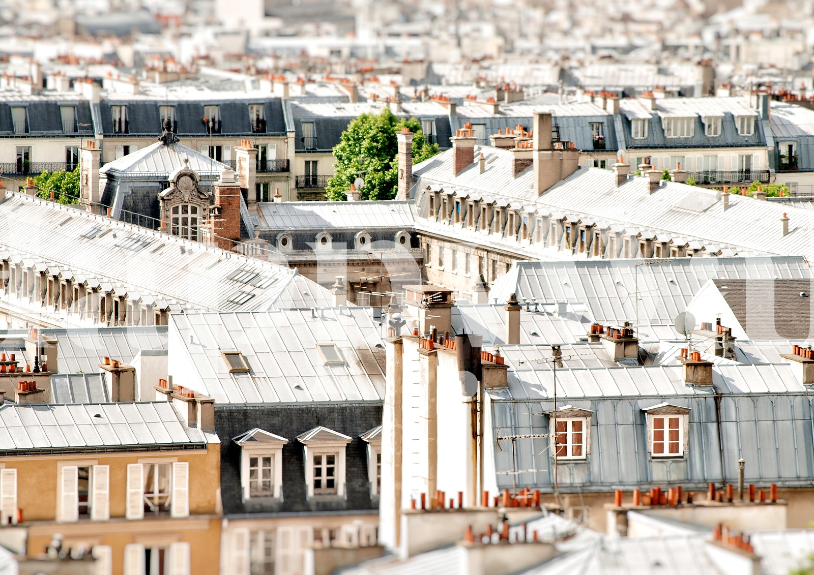 Roooftops Paris Rooftops wallpaper - Happywall