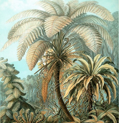 Mural