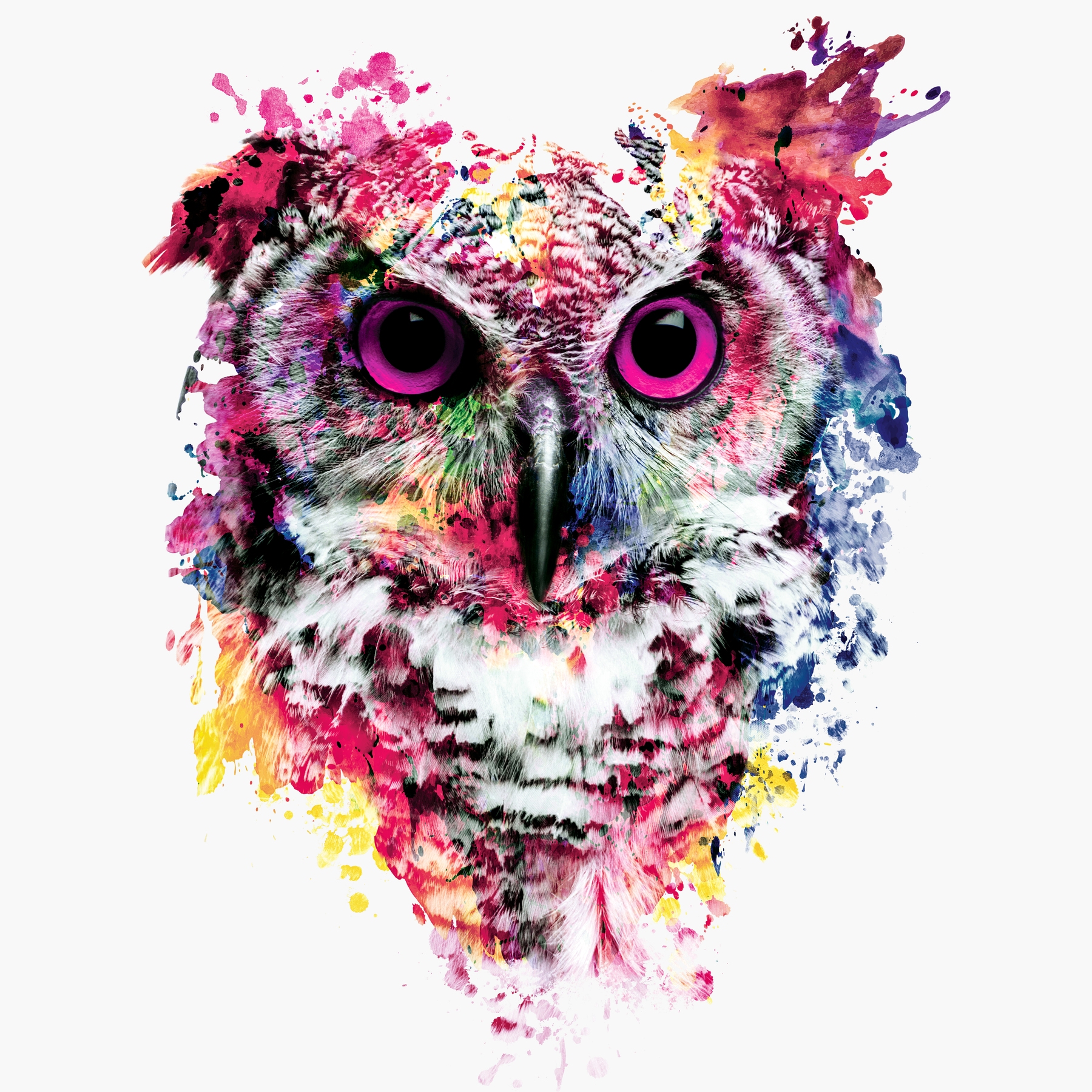 colorful watercolor owl
