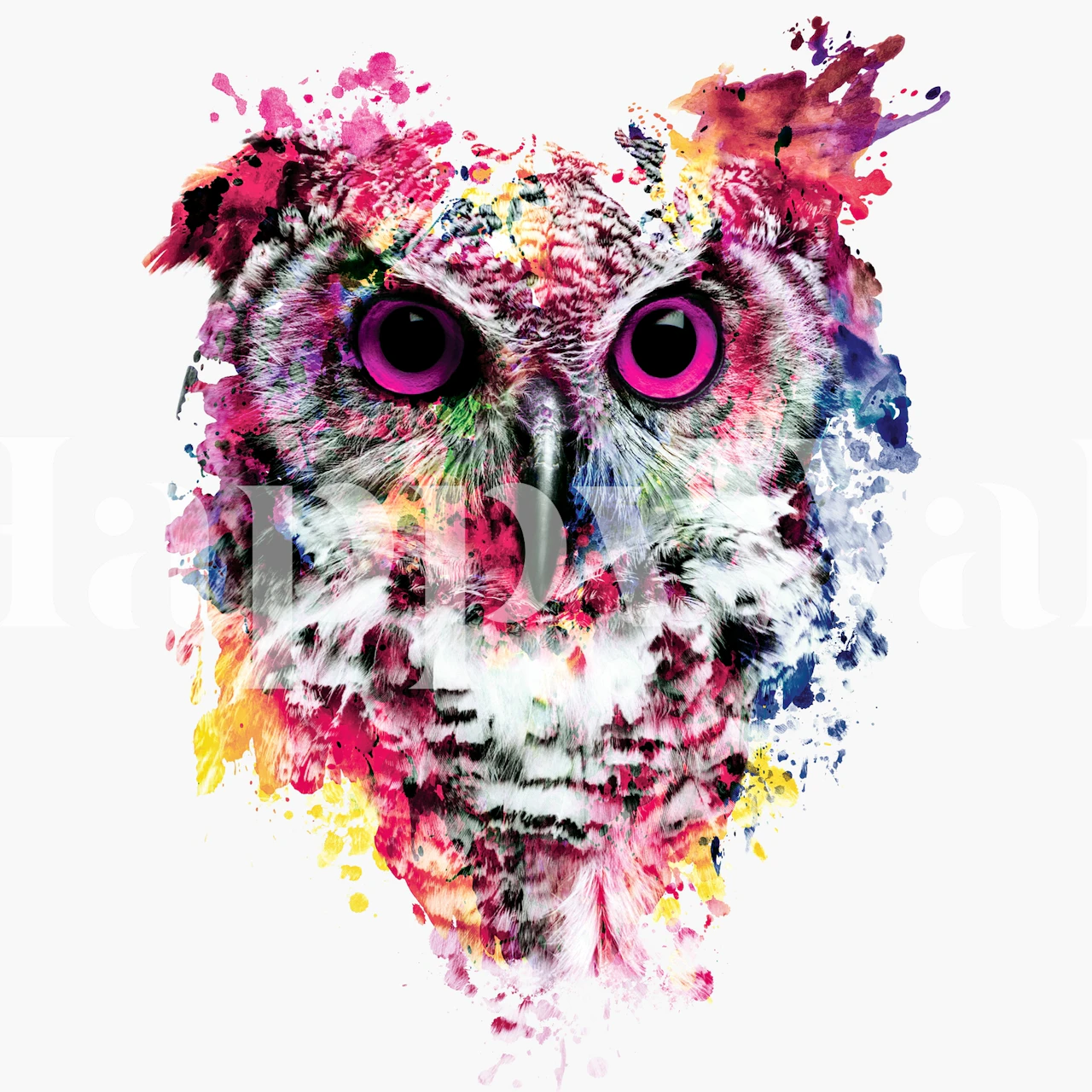 Colorful Watercolor Owl wallpaper