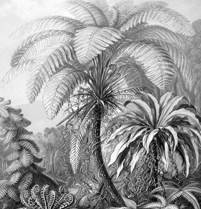 Mural