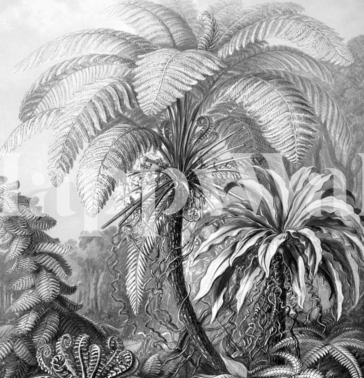 Papier peint jungle illustré en noir et blanc à l'esthétique vintage