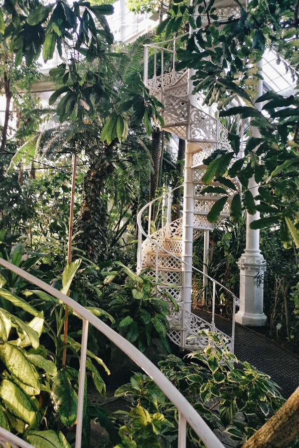 Botanical Plant Photography