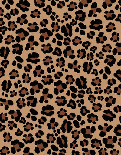 Τοιχογραφία