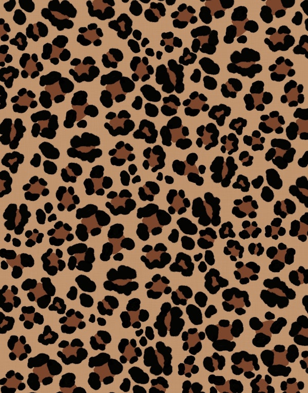 Leopard Print Glam 1