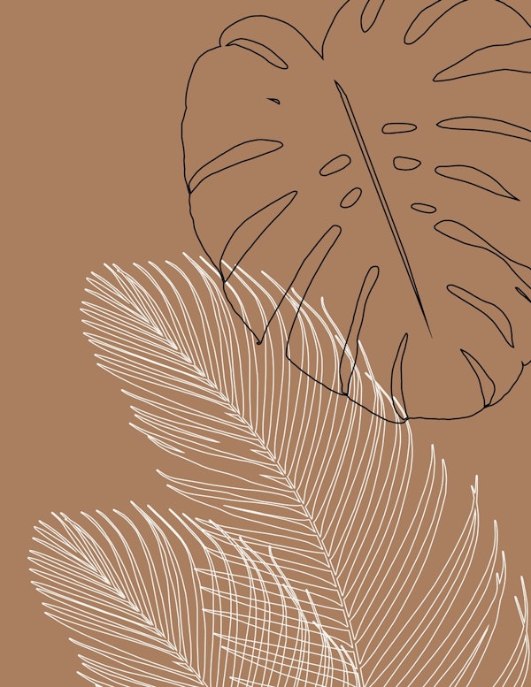 Monstera Finesse Line Art 1