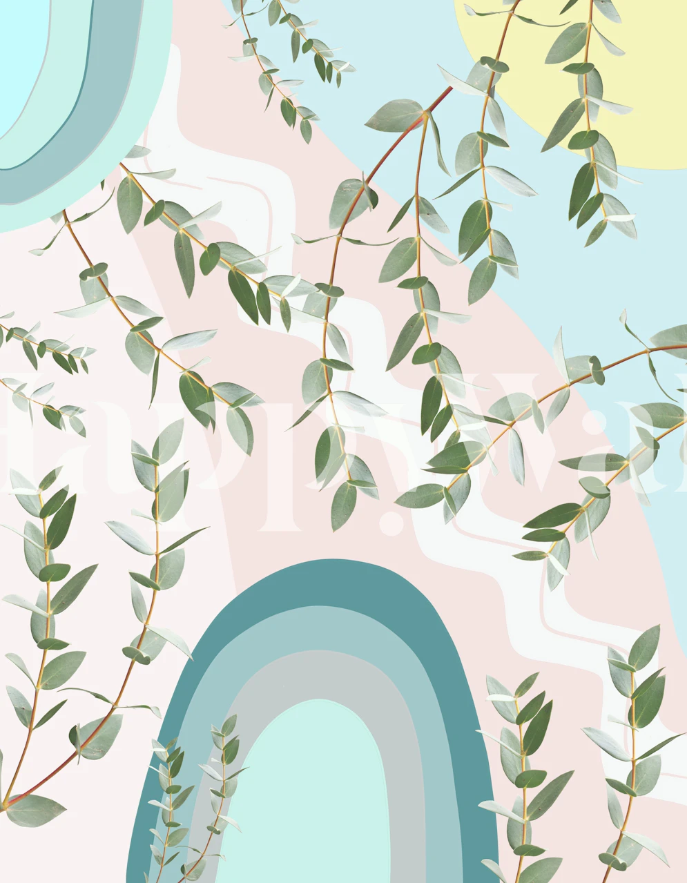 Eucalyptus leaves on pastel abstract background wallpaper