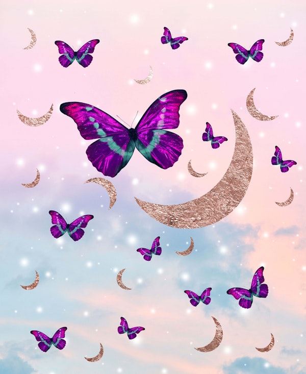 Pastel Cosmos Butterfly Moon 1