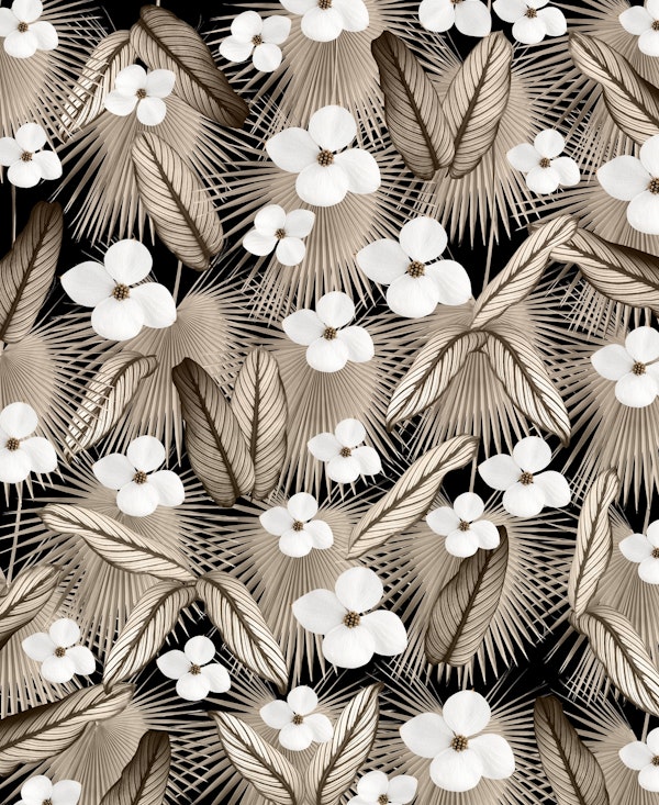 Calathea Fan Palm Floral 3