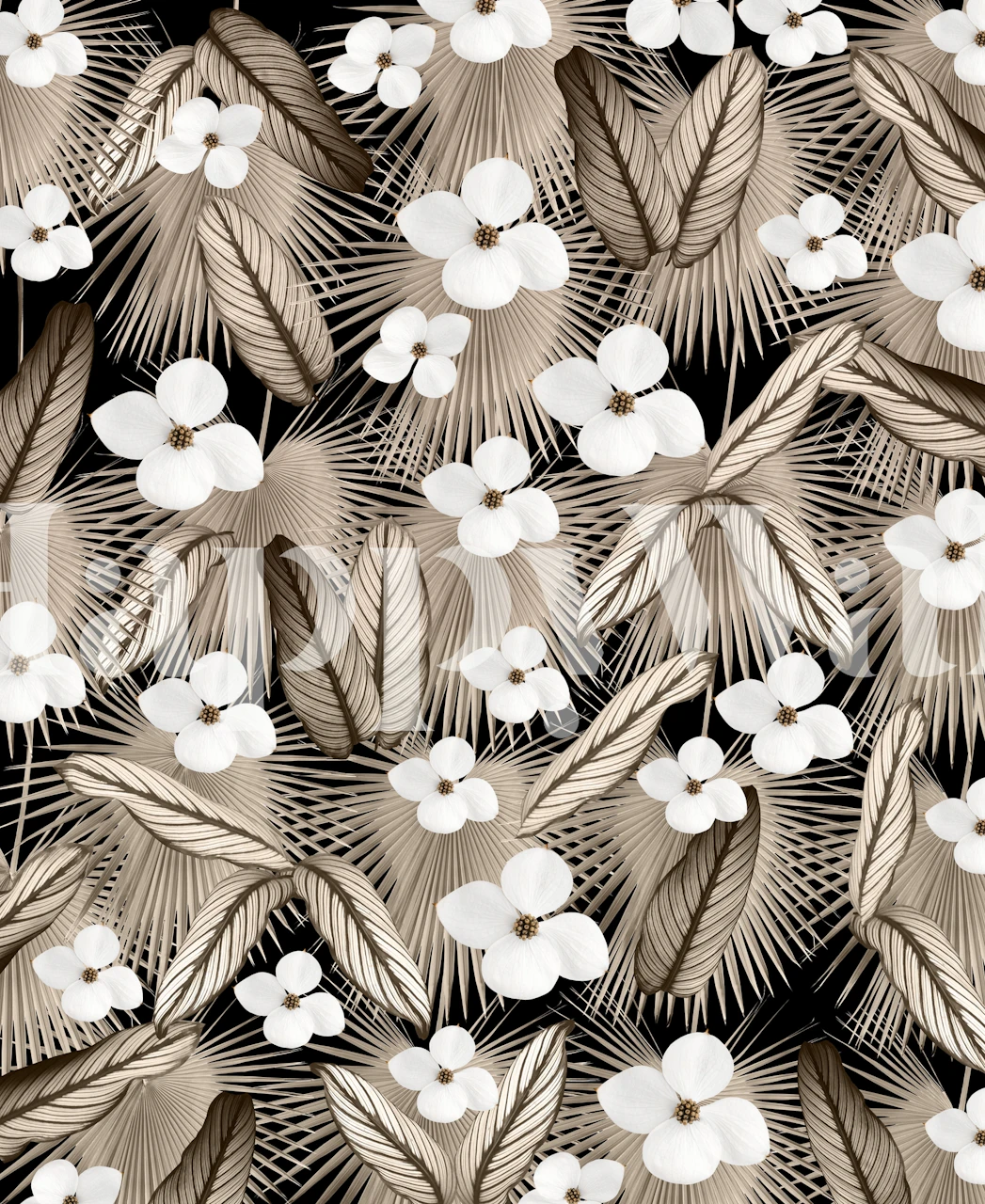 Calathea Fan Palm Floral behang in een kamer