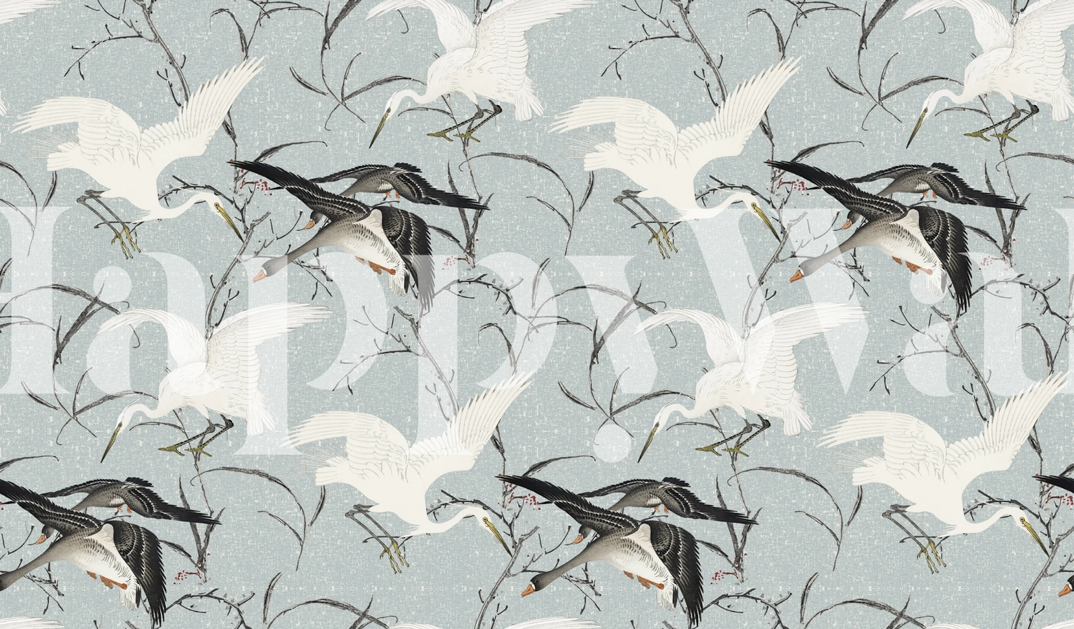 White and grey cranes on blue background wallpaper