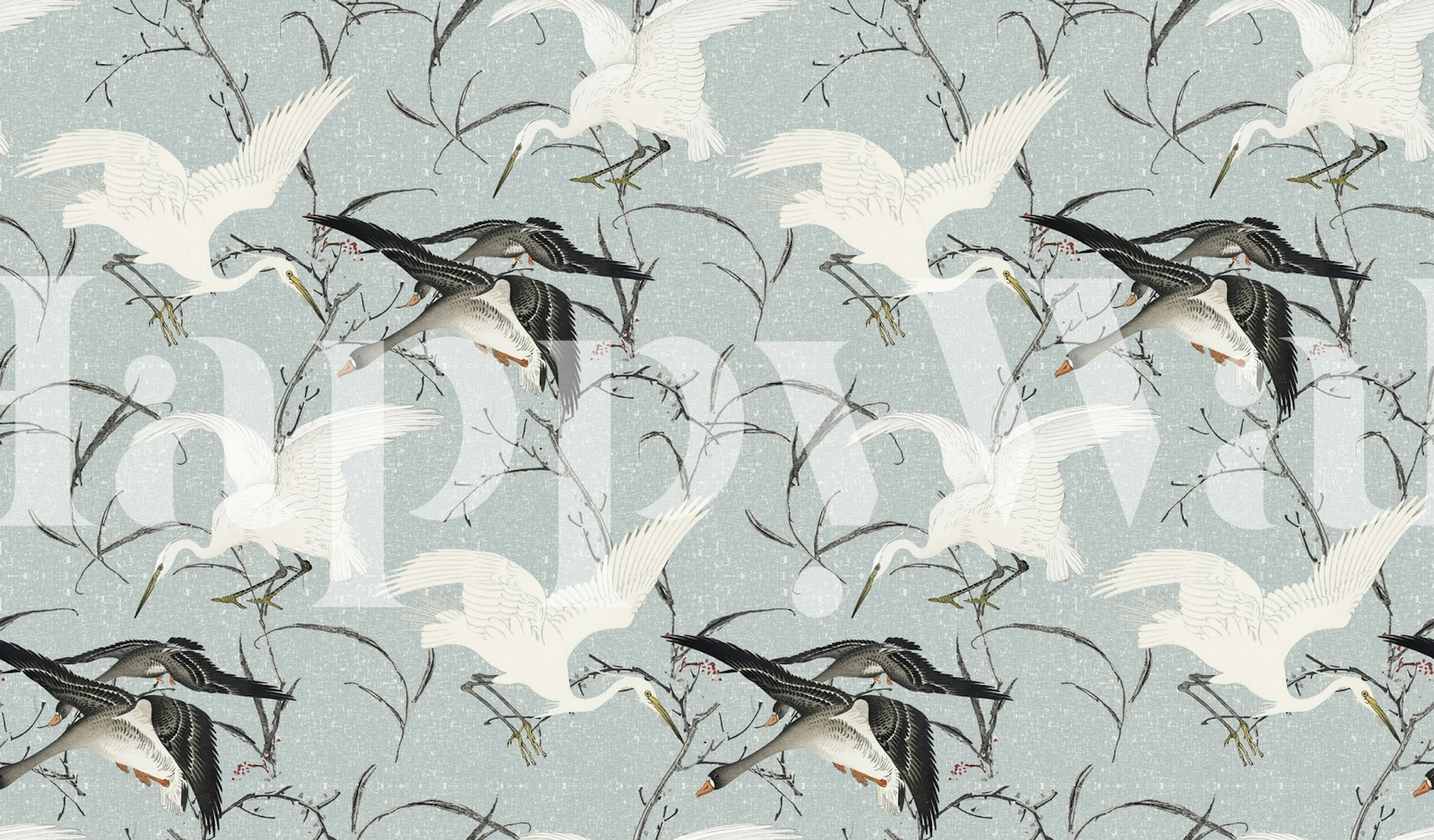 White and grey cranes on blue background wallpaper